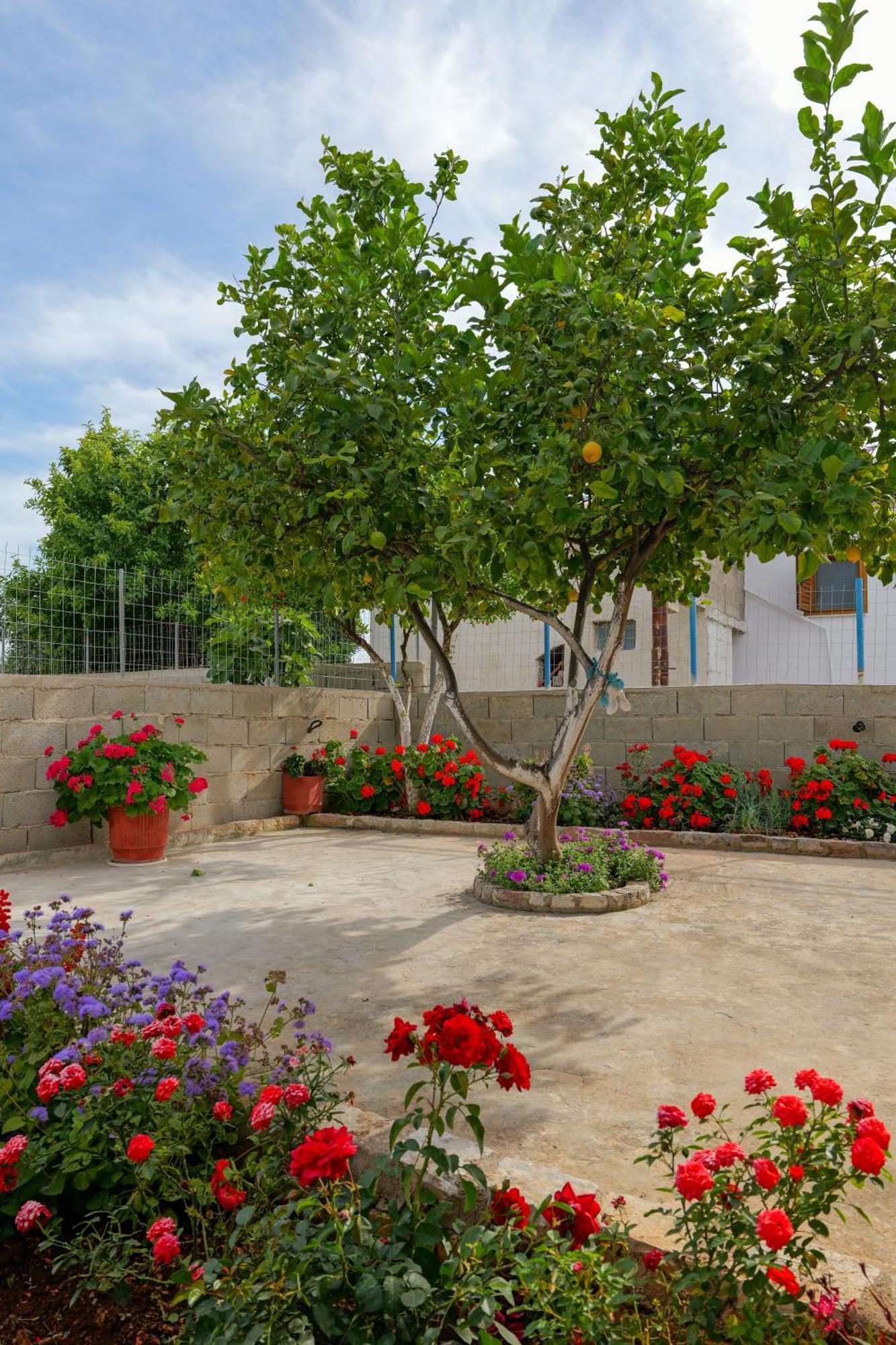 Brahimi Guest House Ksamil Luaran gambar